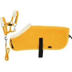 Set mini licol + couverture Pony Academy