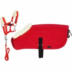 Set mini licol + couverture Pony Academy