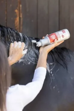 Shampoing French Kiss - Magic Brush - Soin apaisant