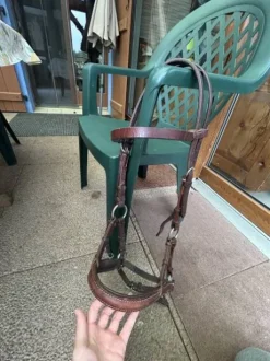 Side pool taille COB