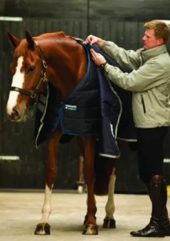 Sous-couverture Horseware liner 100 - horseware - 100g