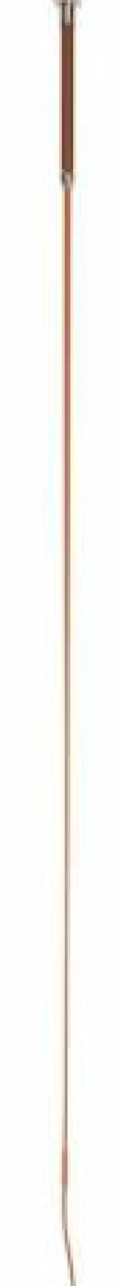 Stick dressage cognac 110cm Covalliero