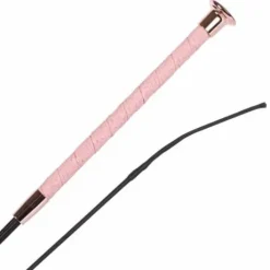 Stick Dressage 3d Harry's Horse