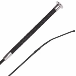 Stick Dressage 3d Harry's Horse