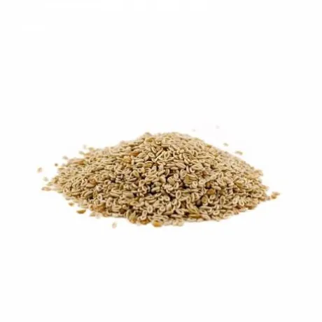 Super Sandexx Psyllium - Horse Remedy