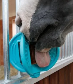 Support bloc à lécher Bizzy Ball