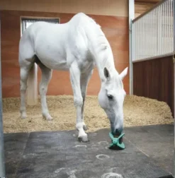 Support jouet bizzy ball - likit