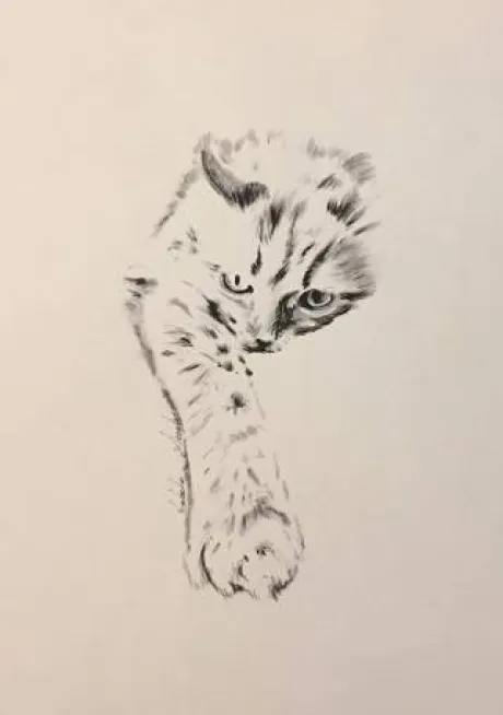 Tableau personnalisé, Horse Pilot , Cavalliera Toscana,