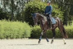 Tapis big square Glam Heritage 24/25 Eskadron