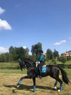 Tapis Bleu Canard - Pool Party - Equito