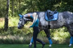 Tapis Bleu Canard - Pool Party - Equito