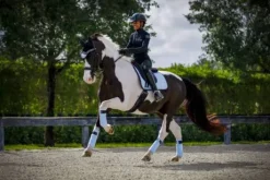 Tapis bleu ciel Morning Sky - Equito