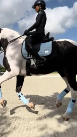 Tapis bleu ciel Morning Sky - Equito