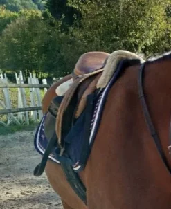 Tapis championnat de France