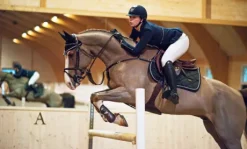 Tapis de selle Black Edition - Equestrian Stockholm