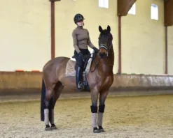 Tapis de selle CHAMPAGNE - Equestrian Stockholm