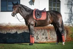 Tapis de selle Cinnamon Spice - Equito