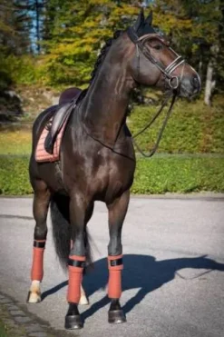 Tapis de selle Cinnamon Spice - Equito