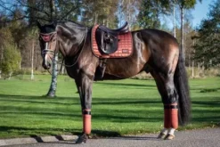 Tapis de selle Cinnamon Spice - Equito