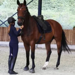 Tapis de selle dressage Classico - Equestre