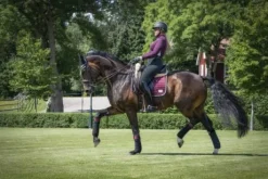 Tapis de selle EQUITO - Black Cherry