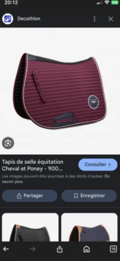 Tapis de selle Fouganza bordeaux