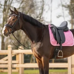 Tapis de selle Lyvia - QHP - Anatomique