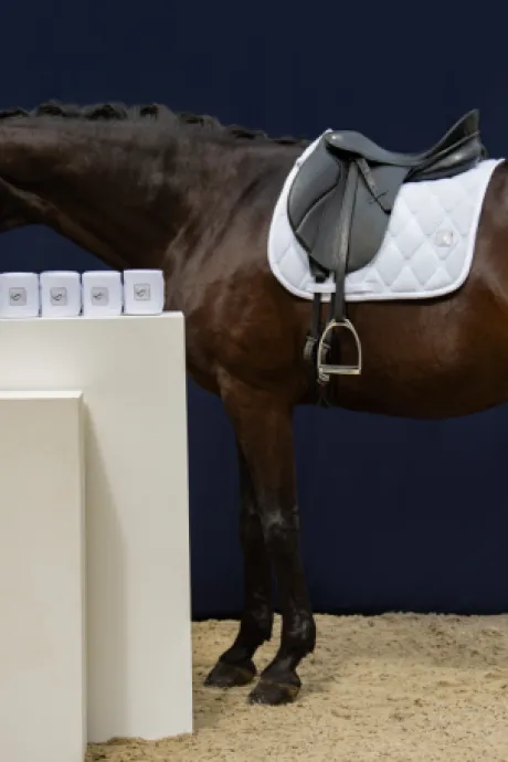 Tapis de selle Mesh Classic Sports 2024 - Eskadron