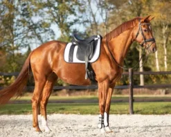 Tapis de selle mixte KAE QHP