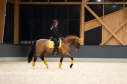 Tapis de selle Pro Soft MIXTE PLATINUM 2025 - Eskadron