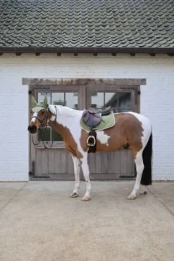 Tapis de selle softshell onion quilt mixte - Kentucky