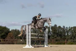 Tapis de selle Sportive Chantelle - Equestrian Stockholm