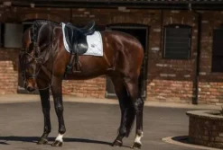 Tapis de selle White Perfection Silver - Equestrian Stockholm