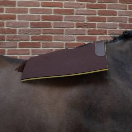 Tapis feutre double mousse de course - PETITPAS - Esthétique et solide