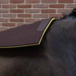 Tapis feutre double mousse de course - PETITPAS - Esthétique et solide