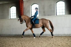 Tapis Glimmer Blue Meadow DRESSAGE - Equestrian Stockholm