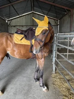 Tapis  Lami-cell  Jaune