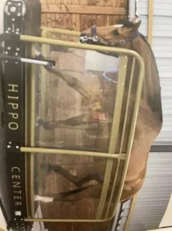 TAPIS MARCHEUR HIPPOCENTER