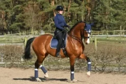 Tapis Navy Shimmer - Equito