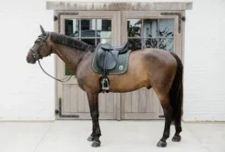 Tapis Onion Quilt DRESSAGE - Kentucky