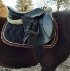 Tapis paddock sports en bon état