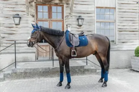 Tapis Velvet Pearl DRESSAGE - KENTUCKY - Séchage rapide