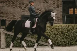 Tapis Velvet Pearl Rose Pâle DRESSAGE - KENTUCKY