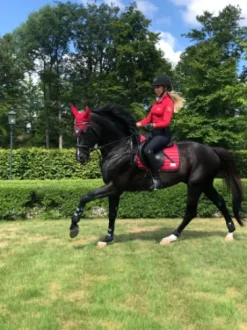 Top Base layer Chili Pepper - Equito