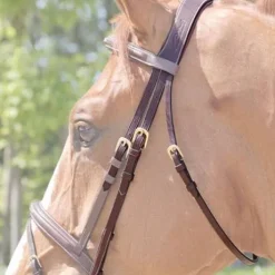 Têtière anatomique Dy'on Collection - Dy'on