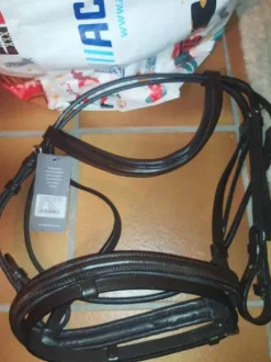 Vends fillet taille poney