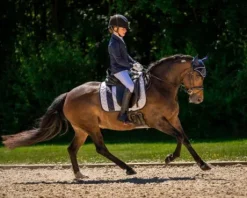 Veste concours enfants Kae QHP