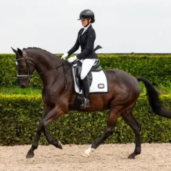 Veste concours Sariah QHP