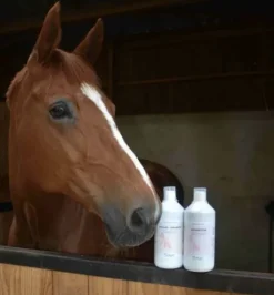 Vitalité  Immunité  Liquide - Nutragile