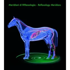 Zandona Air Hock - Protège jarret thérapeutique